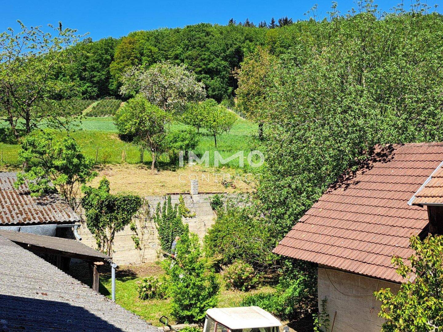 Weitläufiger Blick über grüne Hügel und Wälder in ländlicher Umgebung.