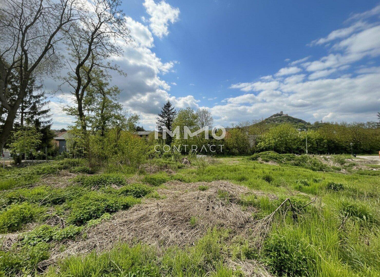Ungepflegtes Grundstück mit Bäumen und Blick auf eine bewaldete Anhöhe mit einer Burgruine.