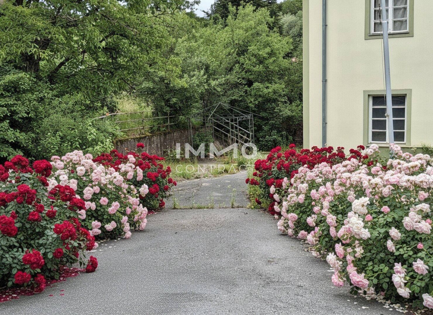 Zufahrt zum Haus, gesäumt von blühenden Rosenbüschen und umgeben von Bäumen.