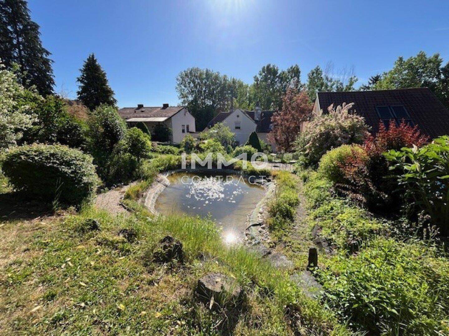 Großer Gartenbereich mit einem Teich und viel Grün, umgeben von Bäumen und Häusern im Hintergrund.