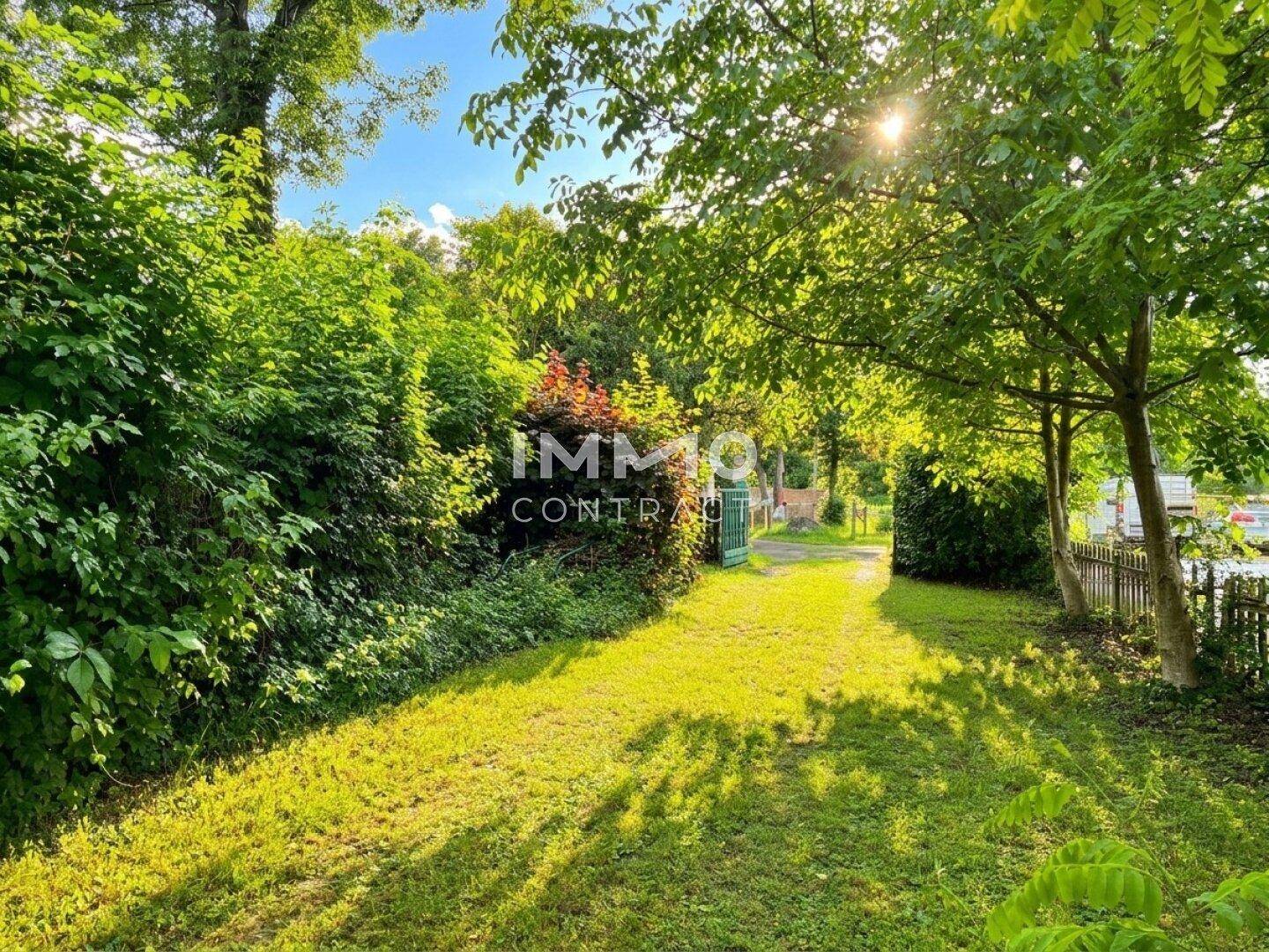Grüner Gartenweg führt durch üppige Vegetation mit hohen Bäumen und Sträuchern.