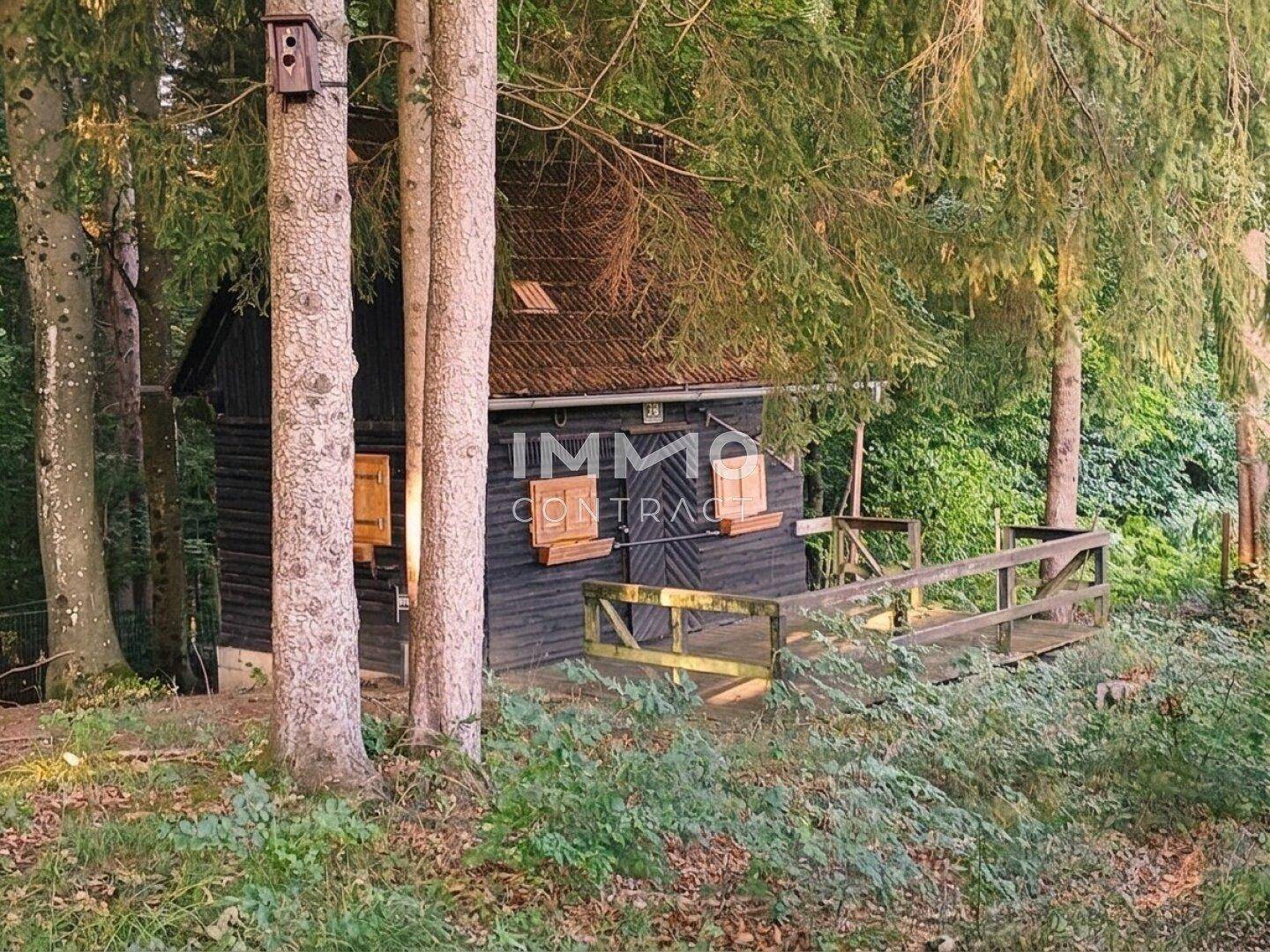 Rustikale Holzhütte umgeben von Bäumen mit einer kleinen Holzterrasse.