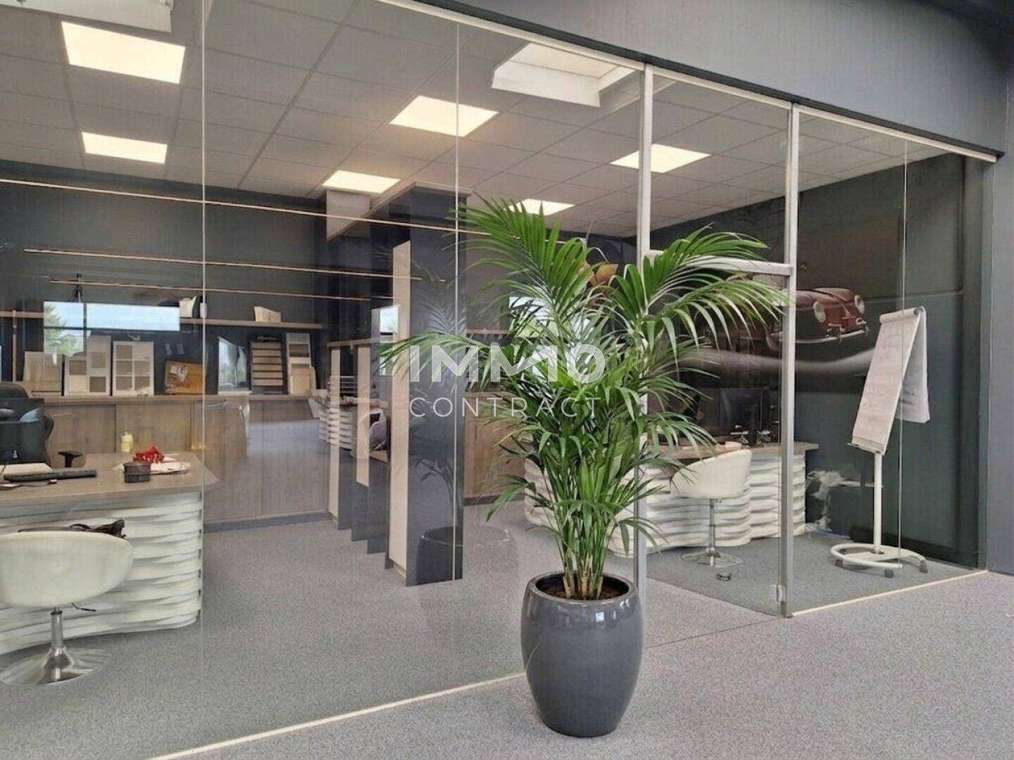 Modernes Büro mit Glaswänden, zeitgenössischen Möbeln und einer großen Zimmerpflanze.