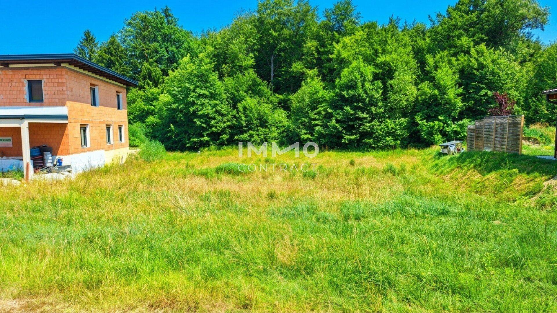 Sonniges Baugrundstück mit angrenzendem Neubau und Wald im Hintergrund.