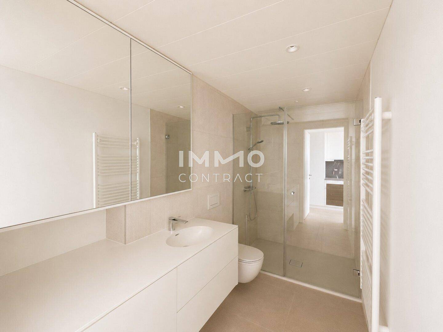 Modernes Badezimmer mit begehbarer Dusche, Einzelwaschbecken, Spiegelschrank und beheiztem Handtuchhalter.