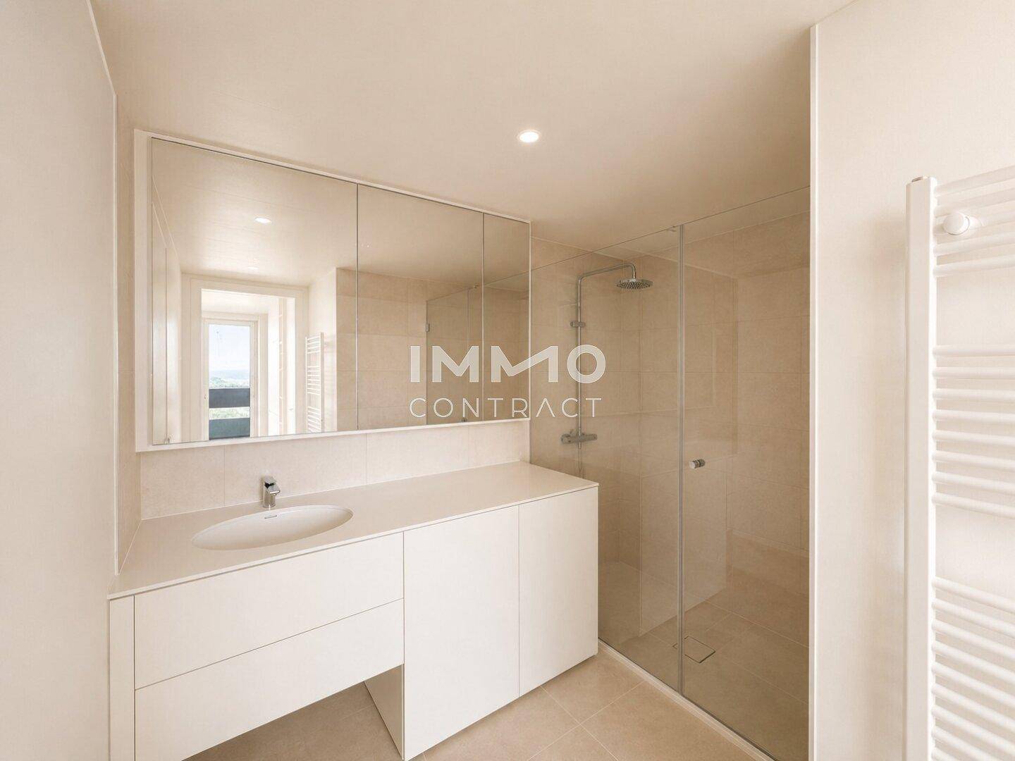 Modernes Badezimmer mit begehbarer Dusche, Einzelwaschbecken und großem Spiegelschrank.