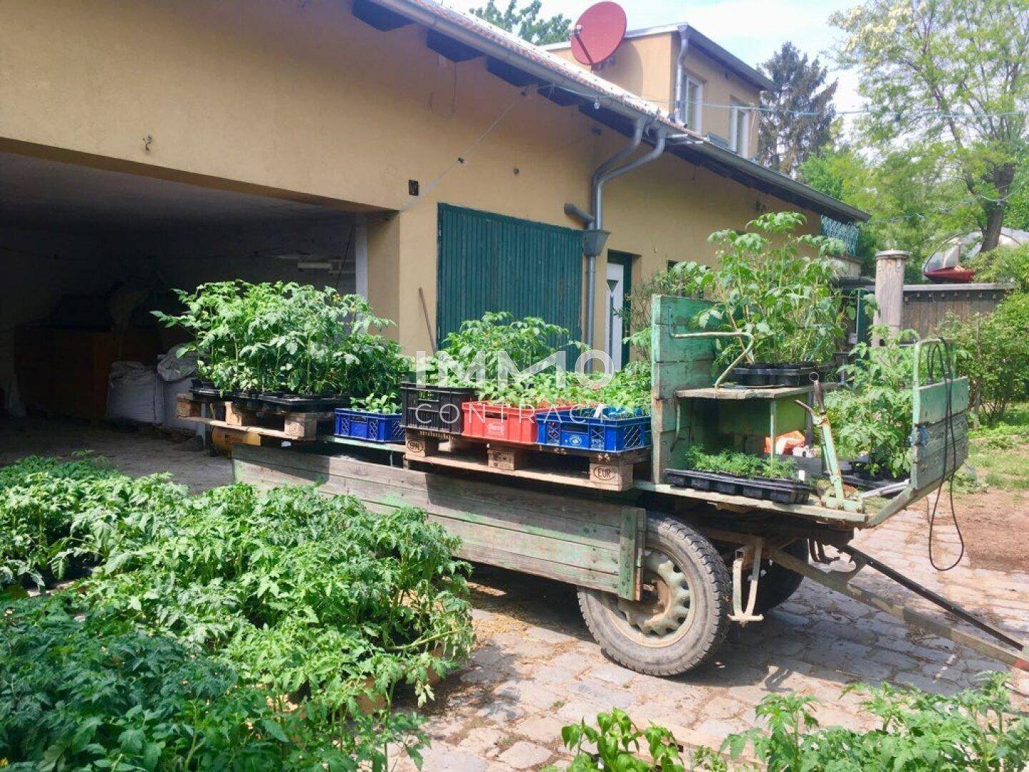 Anhänger voller junger Pflanzen vor einem Gebäude mit Garagentor, deutet auf Gartenarbeit hin.