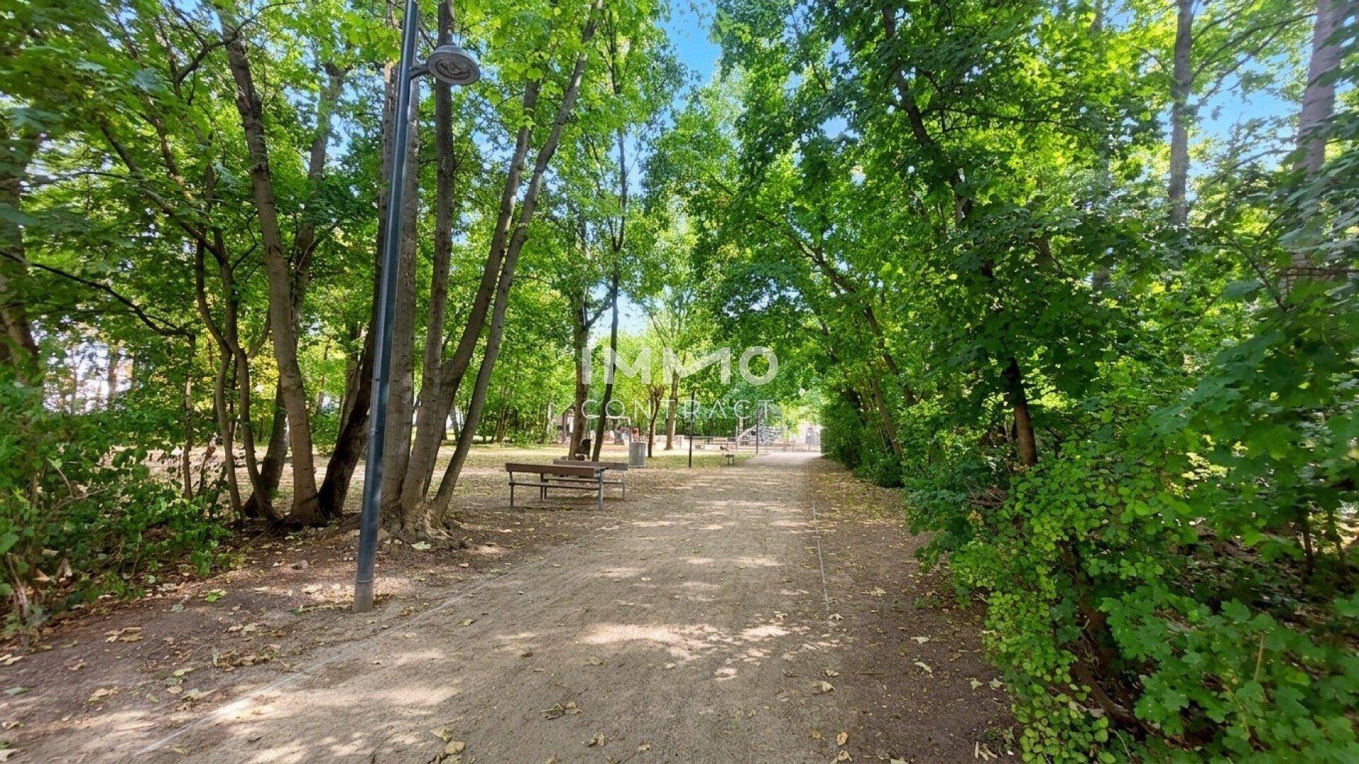 Idyllischer Spazierweg durch einen Park mit vielen Bäumen und Sitzbänken an einem sonnigen Tag.