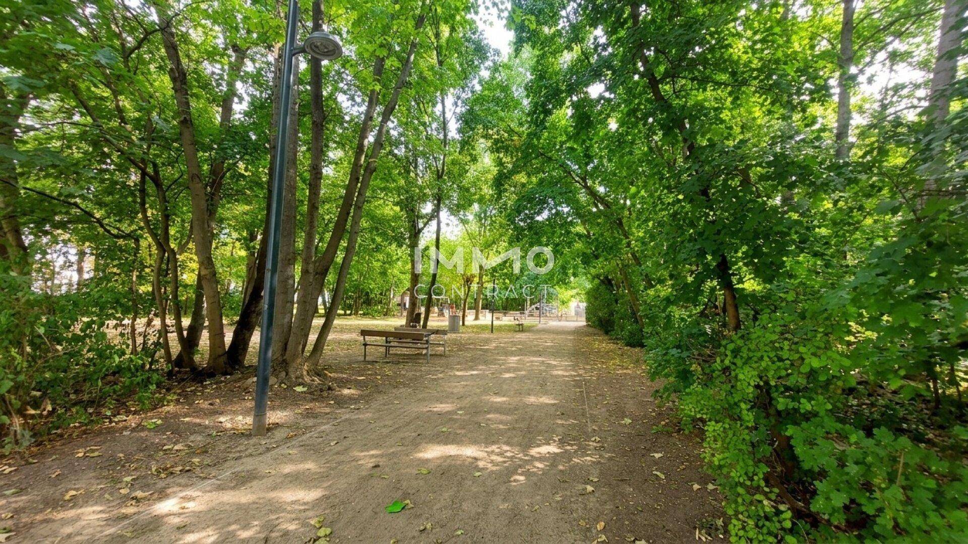 Ein sonniger Spazierweg durch einen grünen Park mit vielen Bäumen und Sitzbänken.