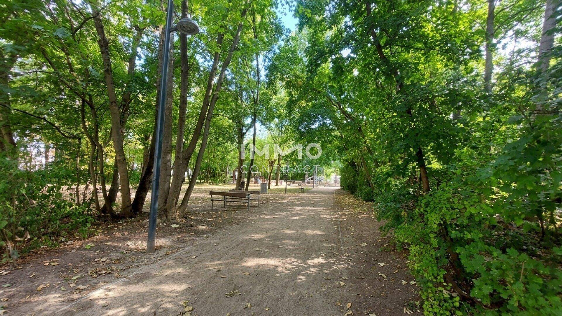 Ruhiger Parkweg mit Bäumen und Sitzbänken, ideal für Spaziergänge und Erholung im Grünen.