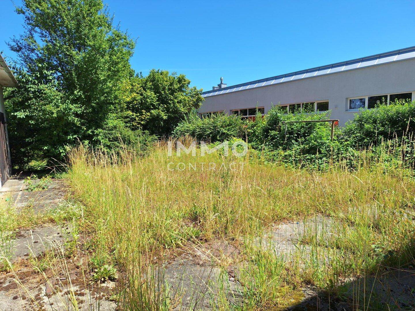 Ungepflegtes Außengelände mit hohem Gras und einem Industriegebäude im Hintergrund unter blauem Himmel.