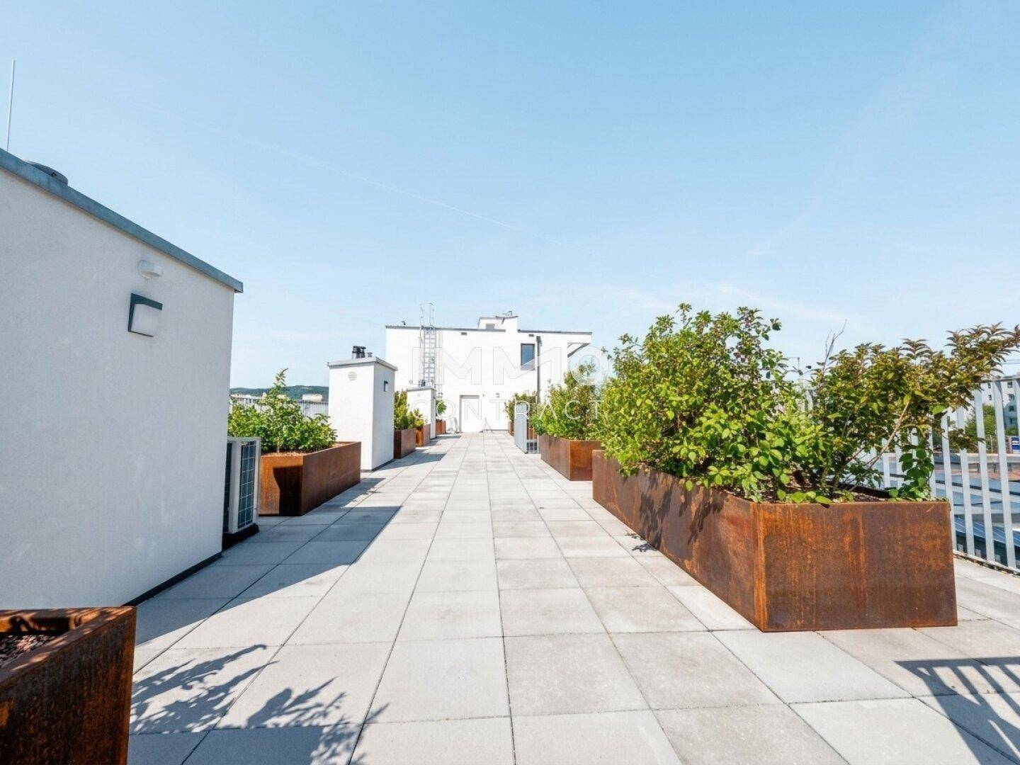 Weitläufige Dachterrasse mit großen Pflanzkübeln und Blick über die Stadt.