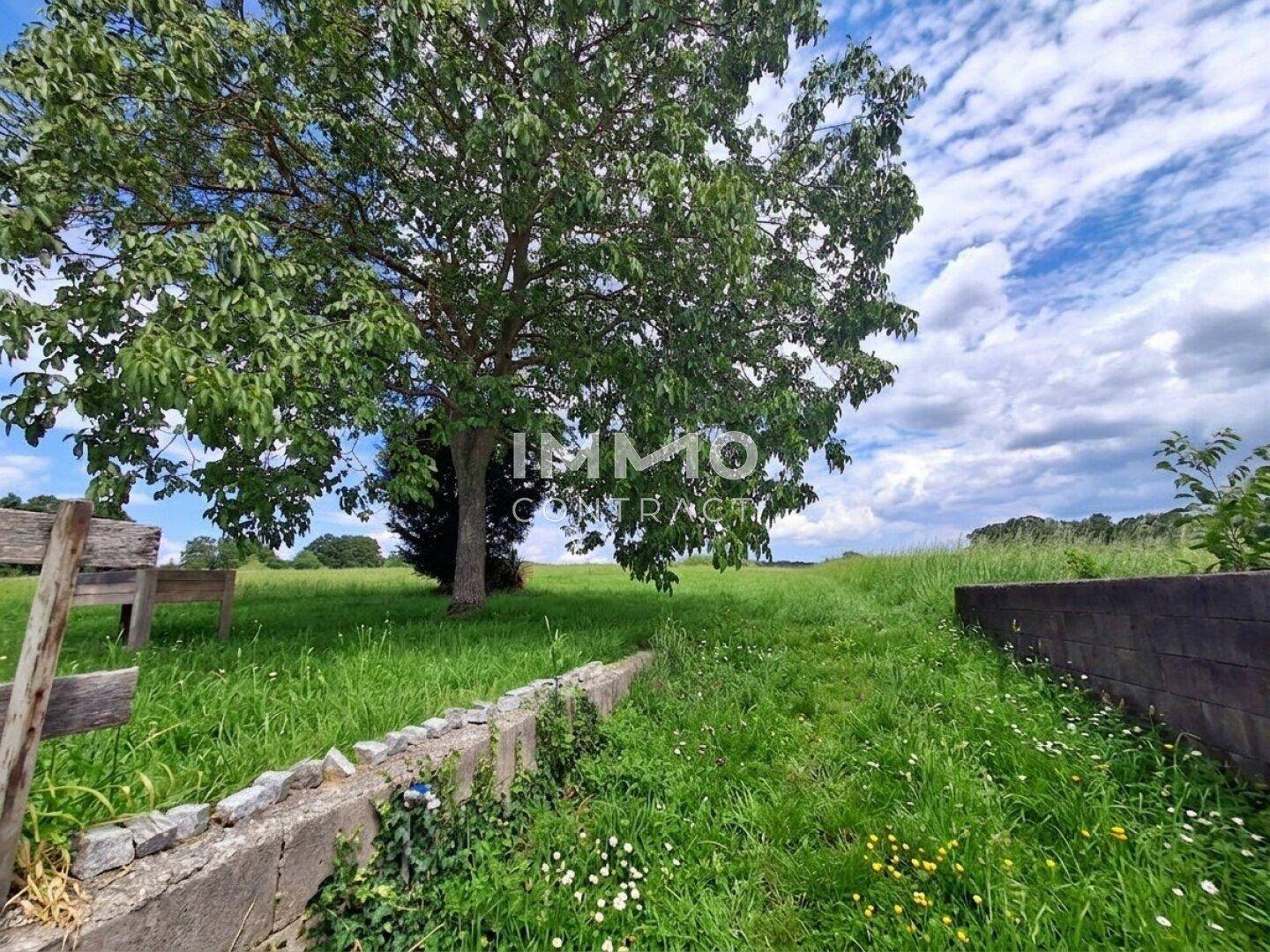 Grüne Wiese mit einem großen Baum unter einem bewölkten Himmel.