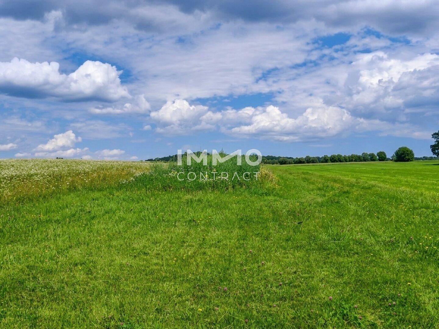 Weite grüne Felder unter einem dramatischen Himmel mit vielen Wolken.