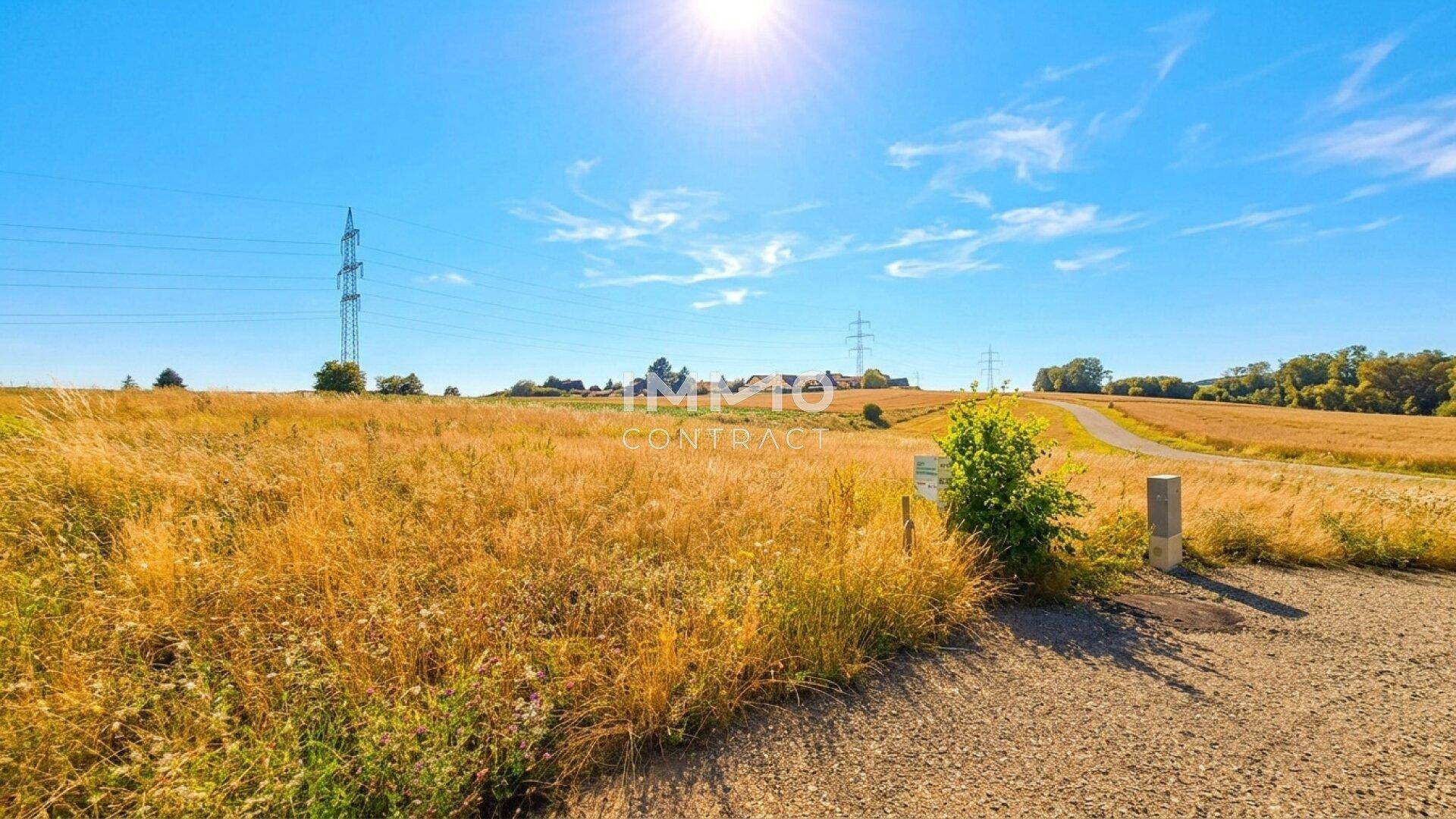 Sonnige Landschaft mit goldenen Feldern, einem Weg und Strommasten am Horizont.