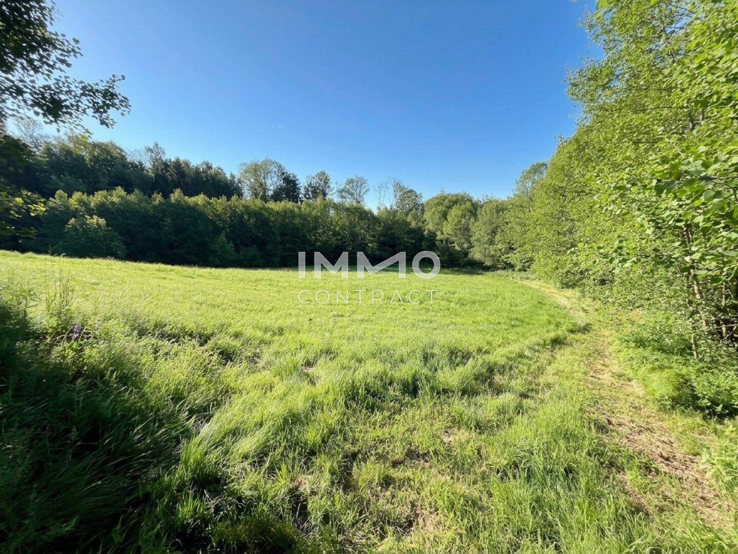 Breite, offene Grasfläche umgeben von dichtem Wald, perfekt für Ruhe und Erholung in der Natur.