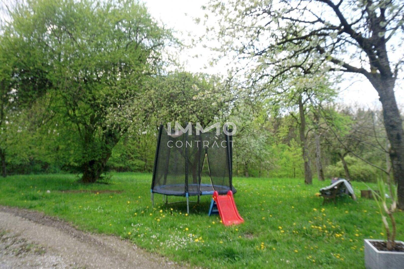 Großer Gartenbereich mit Trampolin, Rutsche und altem Baumbestand, ideal für Kinder.