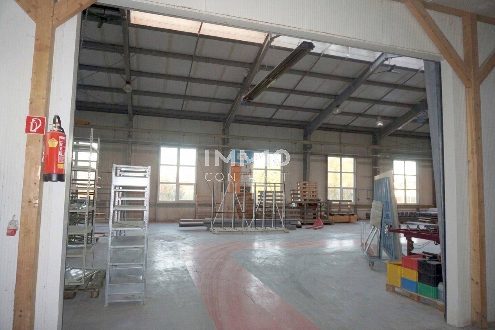 Geräumige Lagerhalle mit hohen Decken, großen Fenstern und Betonboden, bereit zur Nutzung.