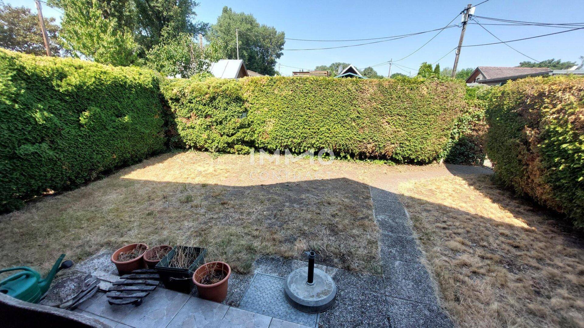 Kleiner Gartenbereich mit Rasenfläche und einer hohen Hecke als Begrenzung.