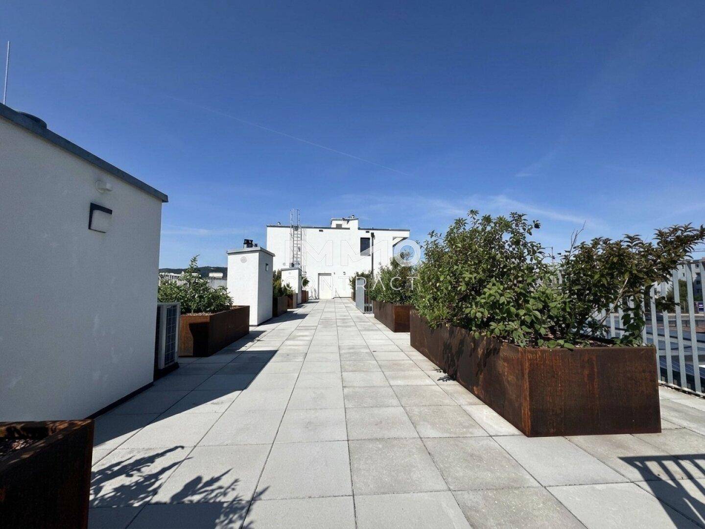 Weitläufige Dachterrasse mit großen Pflanzkübeln und einem sonnigen Ausblick über die städtische Umgebung.
