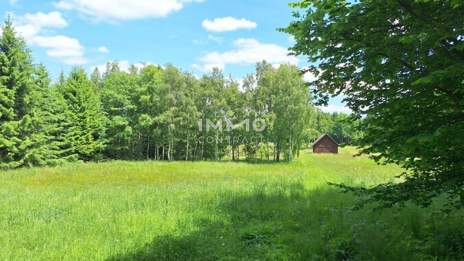 Sonnige weite Wiese mit einem kleinen Holzhaus und Waldrand im Hintergrund unter blauem Himmel.