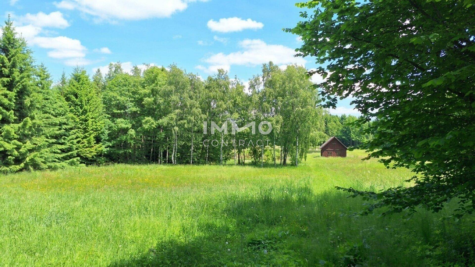 Sonniges, weitläufiges Grundstück mit grünen Wiesen, Bäumen und einem kleinen Holzhaus am Horizont.