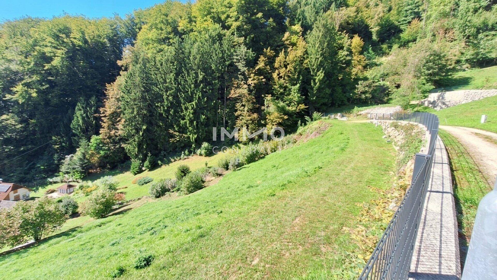 Grüner Hang mit einem Pfad, umgeben von dichtem Wald und üppiger Vegetation unter strahlendem Sonnenschein.
