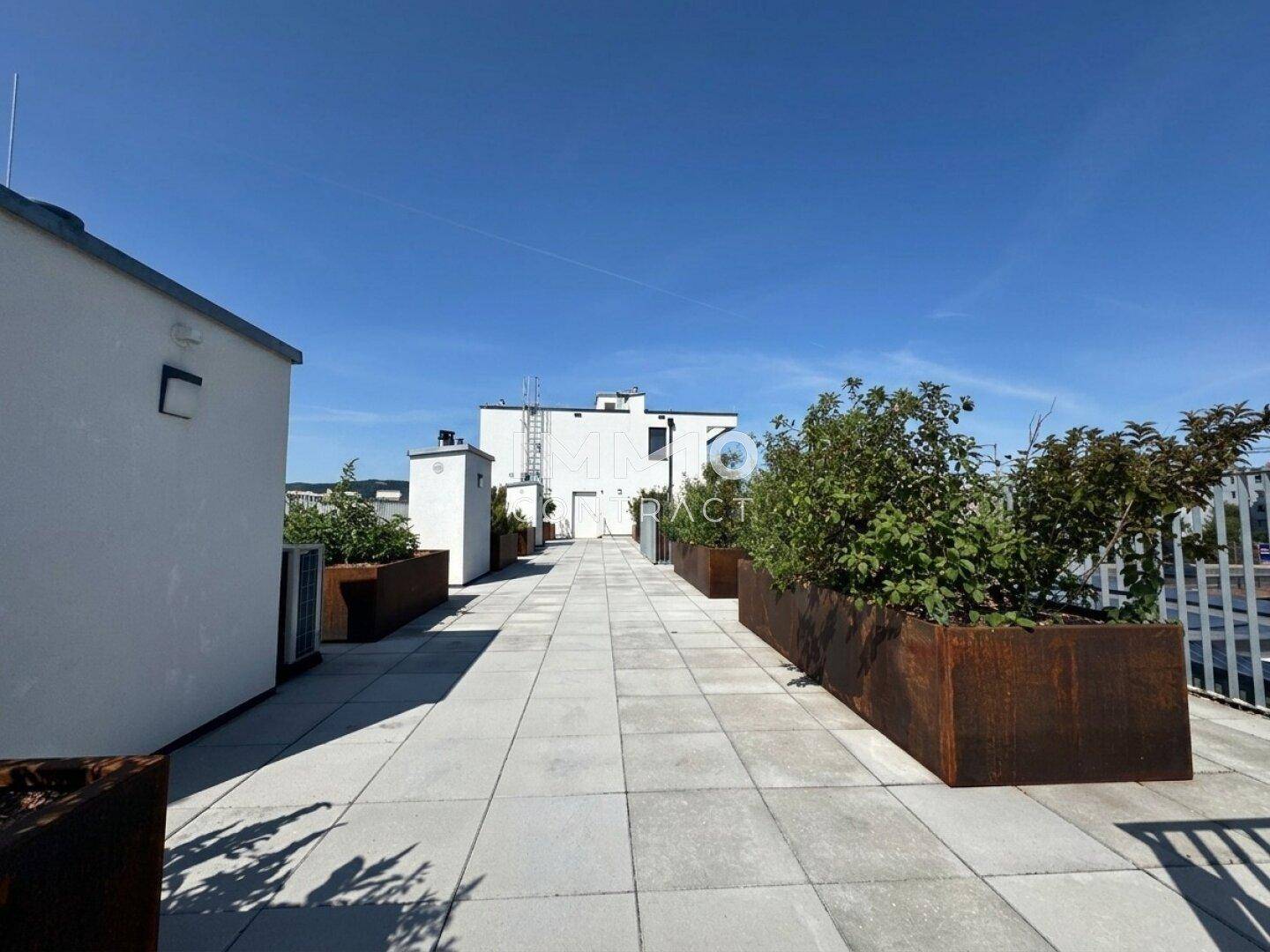 Weitläufige Dachterrasse mit Fliesenboden und großen Pflanzgefäßen unter klarem blauem Himmel.