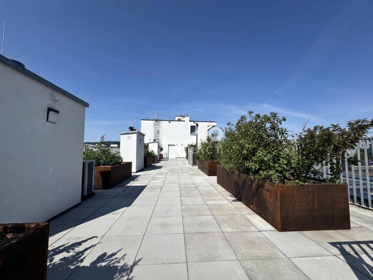 Weitläufige Dachterrasse mit grauen Fliesen, großen Pflanzkübeln und weitem Blick über die Stadt.