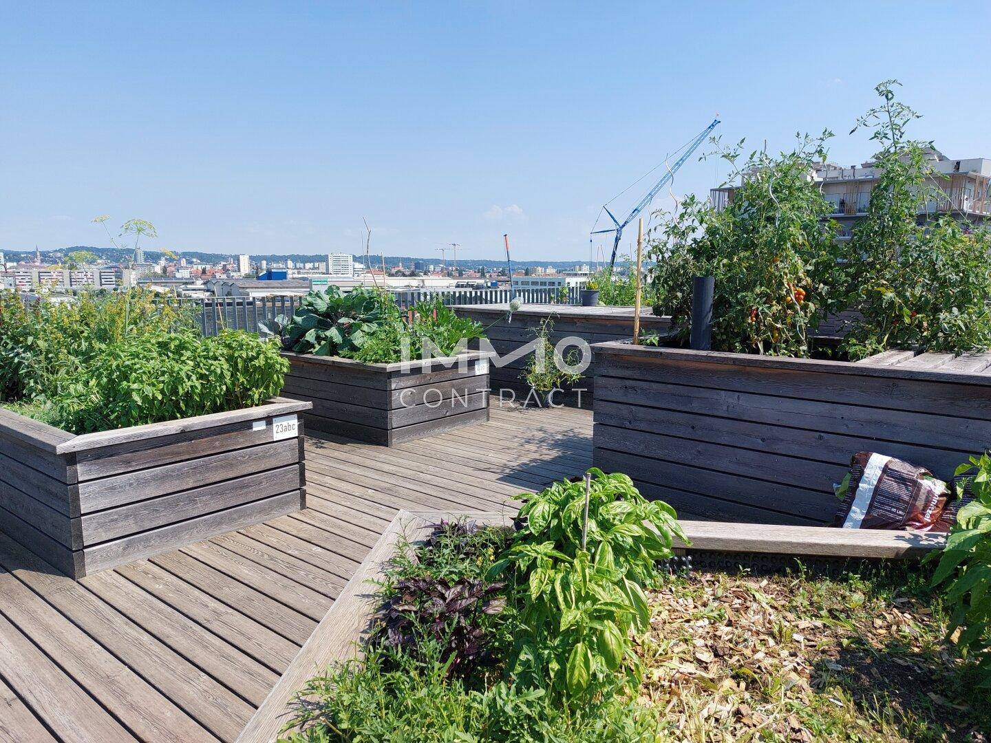 Urbaner Dachgarten mit Holzhochbeeten, Holzdeck und Nutzpflanzen, mit Stadtblick.