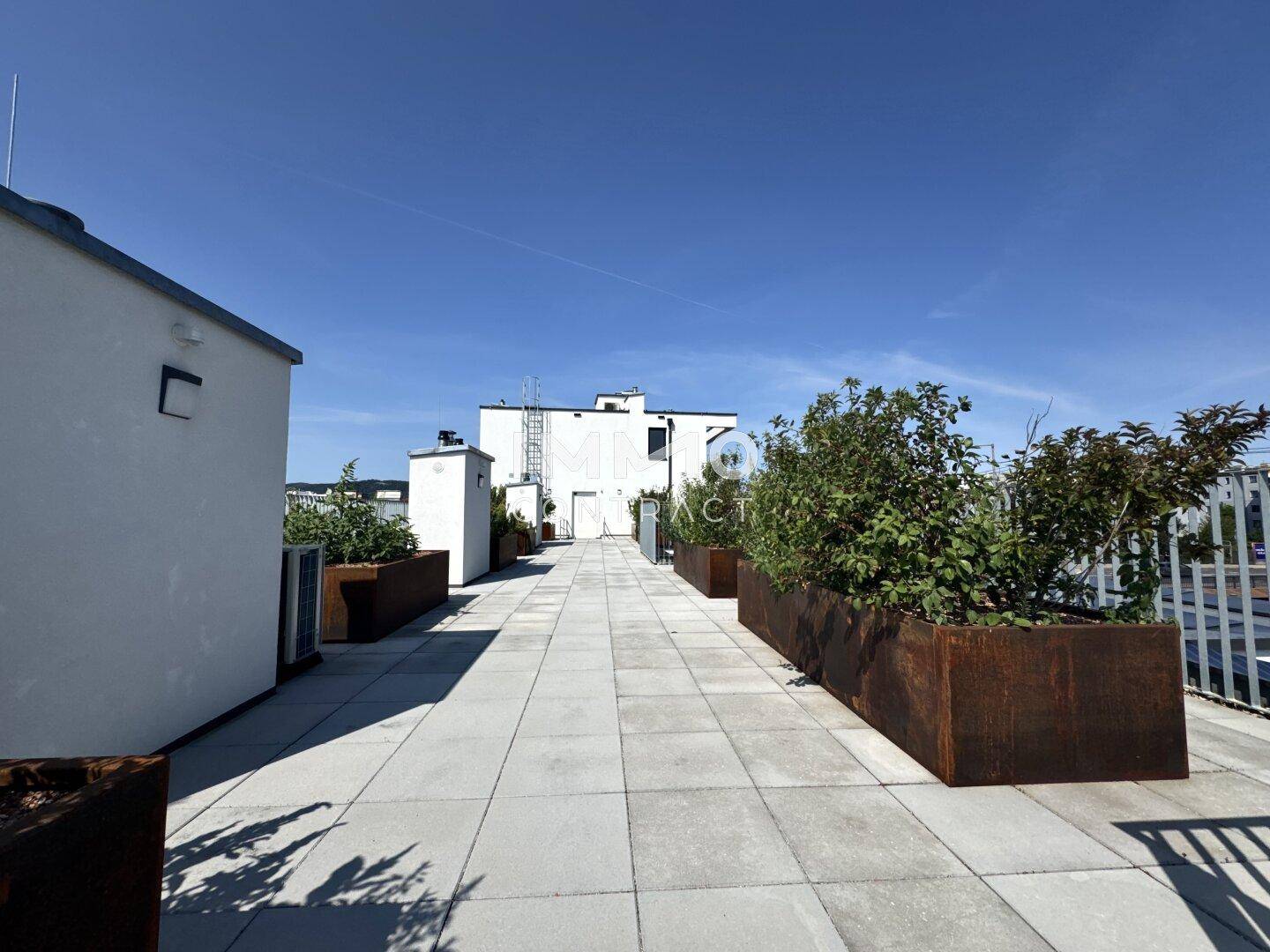 Weitläufige Dachterrasse mit großen Pflanzkübeln und einem weiten Blick unter blauem Himmel.
