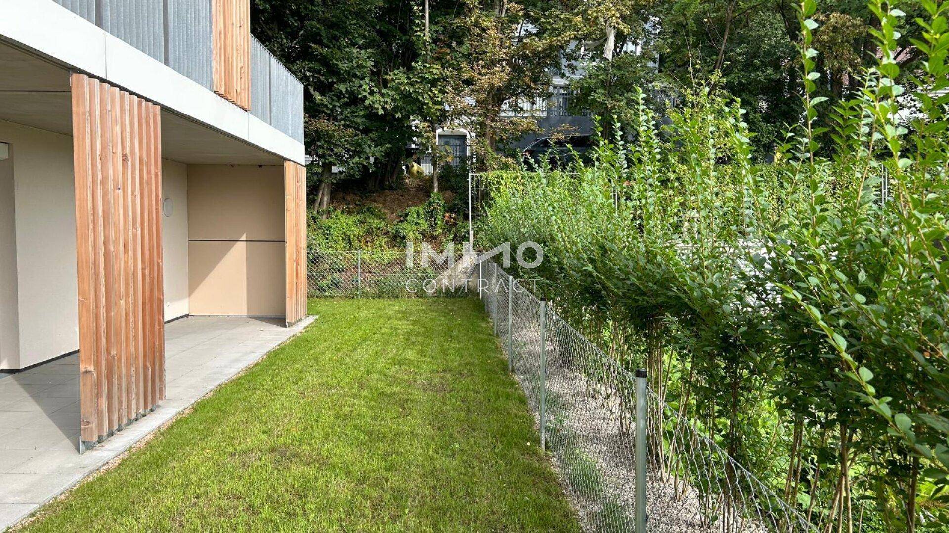 Gepflegter Rasenbereich im Garten mit Hecken und Zaun, angrenzend an die moderne Gebäudefassade.