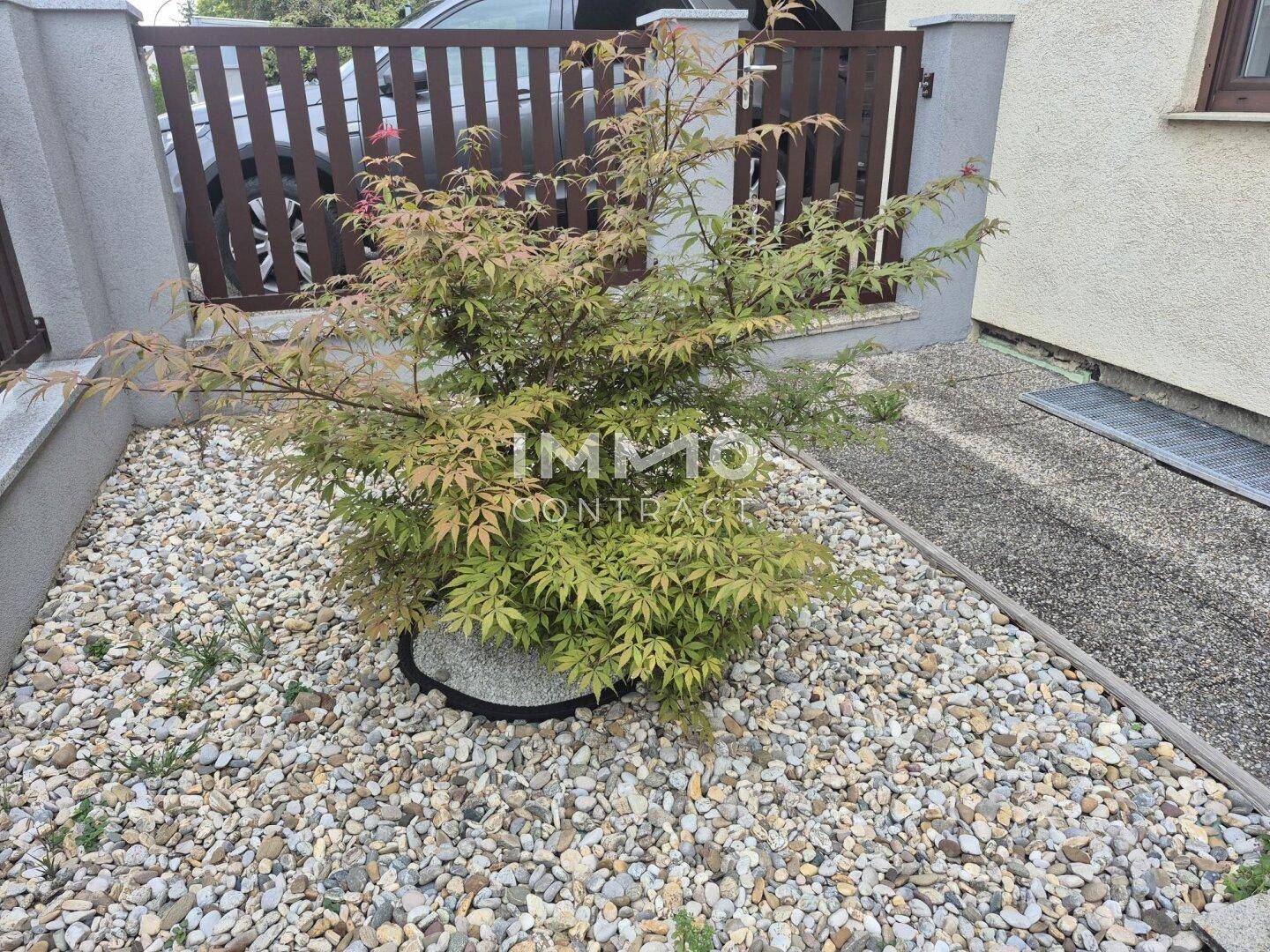 Kleiner, pflegeleichter Gartenbereich mit Zierkies und einem jungen Baum neben dem Zaun.