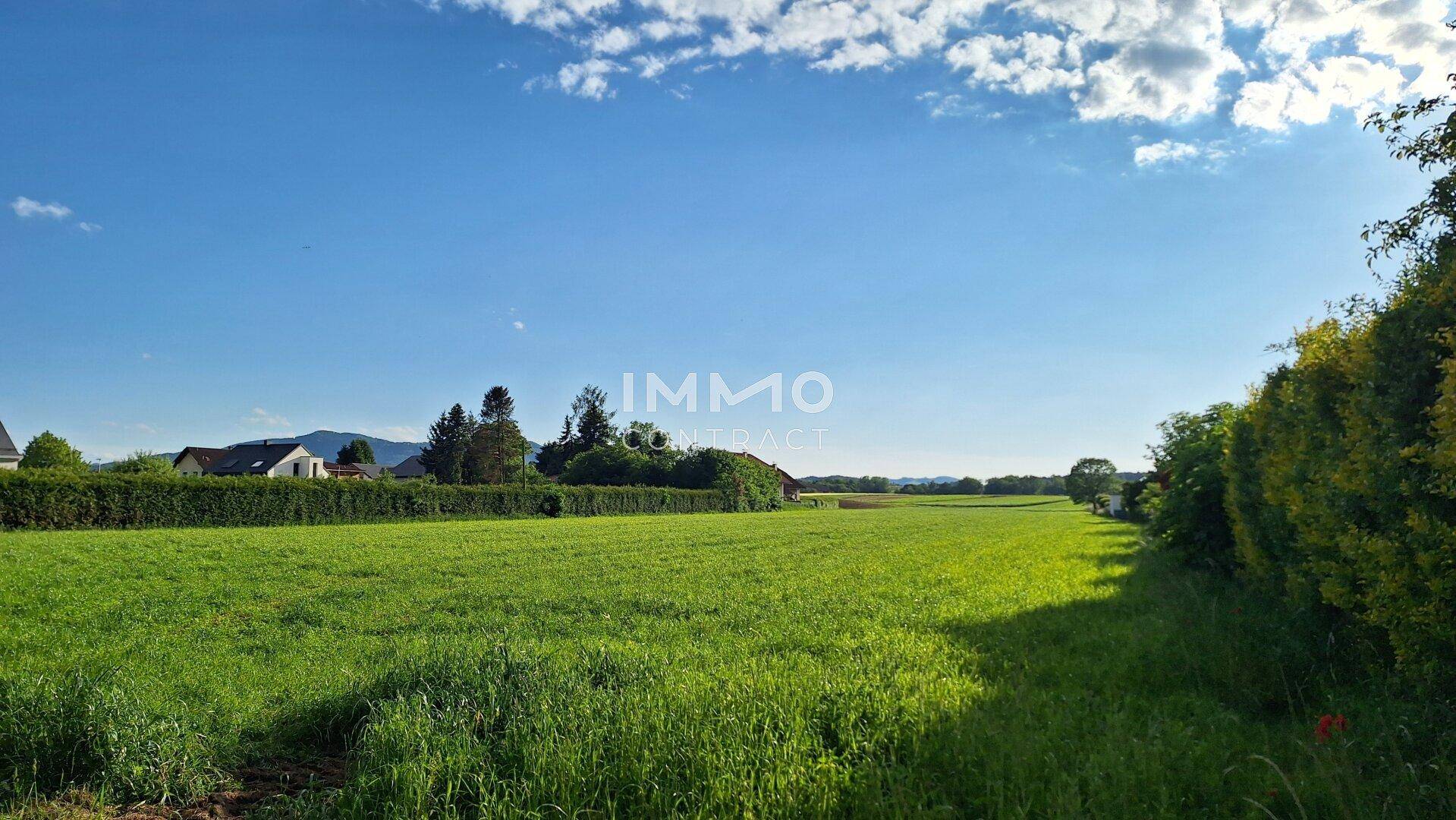 Offenes grünes Feld mit Hecke und Häusern am Horizont unter klarem, blauem Himmel.
