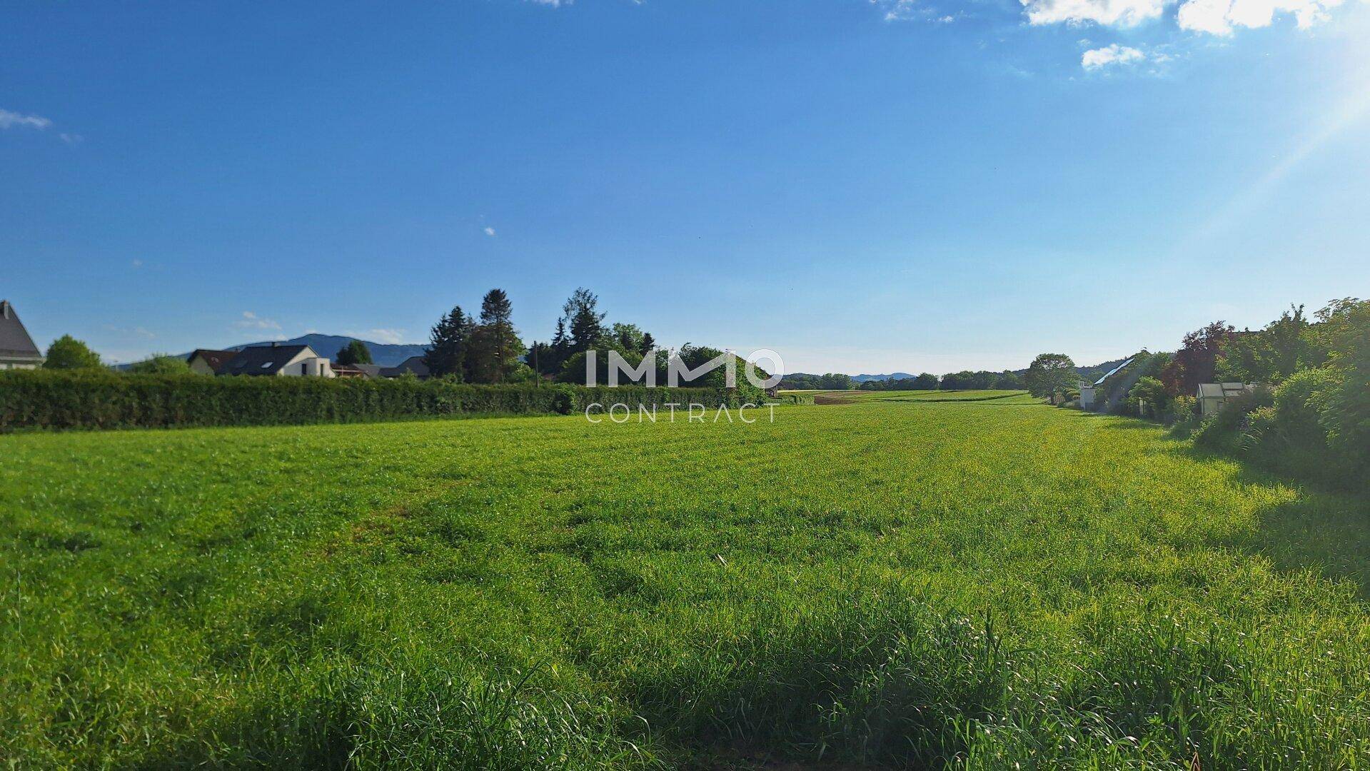 Sonniges grünes Feld mit Hecke und Häusern in der Ferne unter strahlend blauem Himmel.