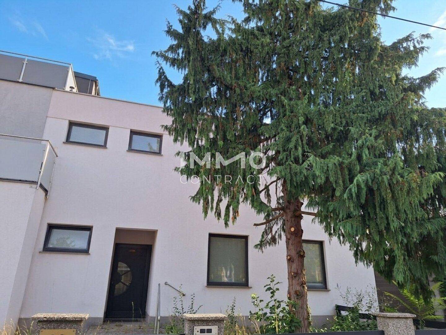 Vorderansicht des modernen Hauses mit Eingangstür und großem Nadelbaum.