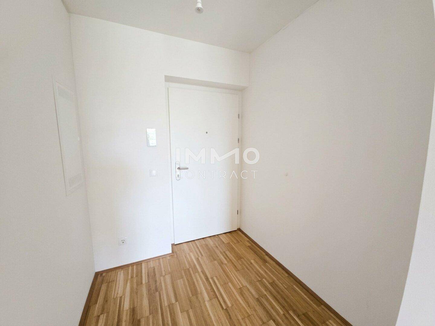 Heller Eingangsbereich mit Parkettboden und einer modernen weißen Wohnungstür.