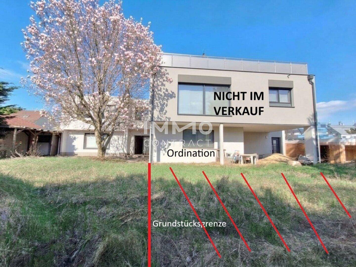 Moderne Gebäudefassade mit blühendem Baum im Vordergrund und markierten Grundstücksgrenzen.
