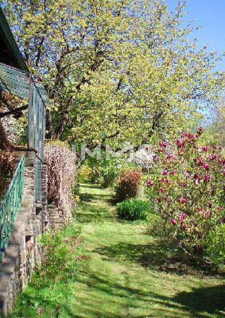 Grüner Gartenweg entlang des Hauses mit üppiger Vegetation und blühenden Sträuchern.