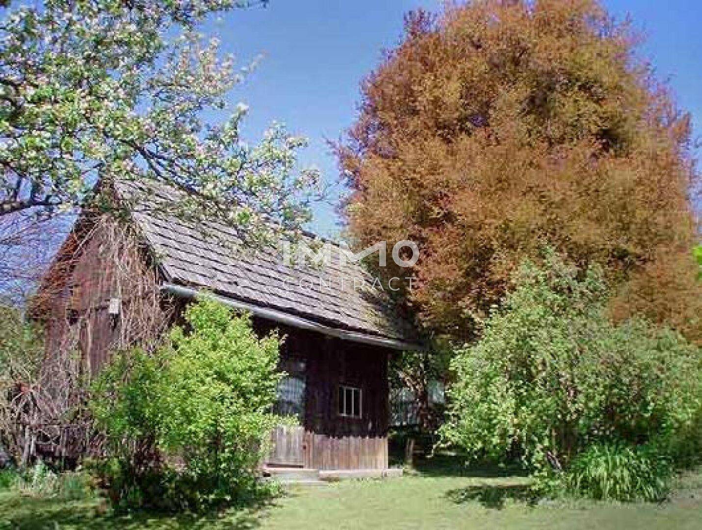 Rustikales Holzschuppen im Garten, umgeben von Bäumen und Sträuchern an einem sonnigen Tag.