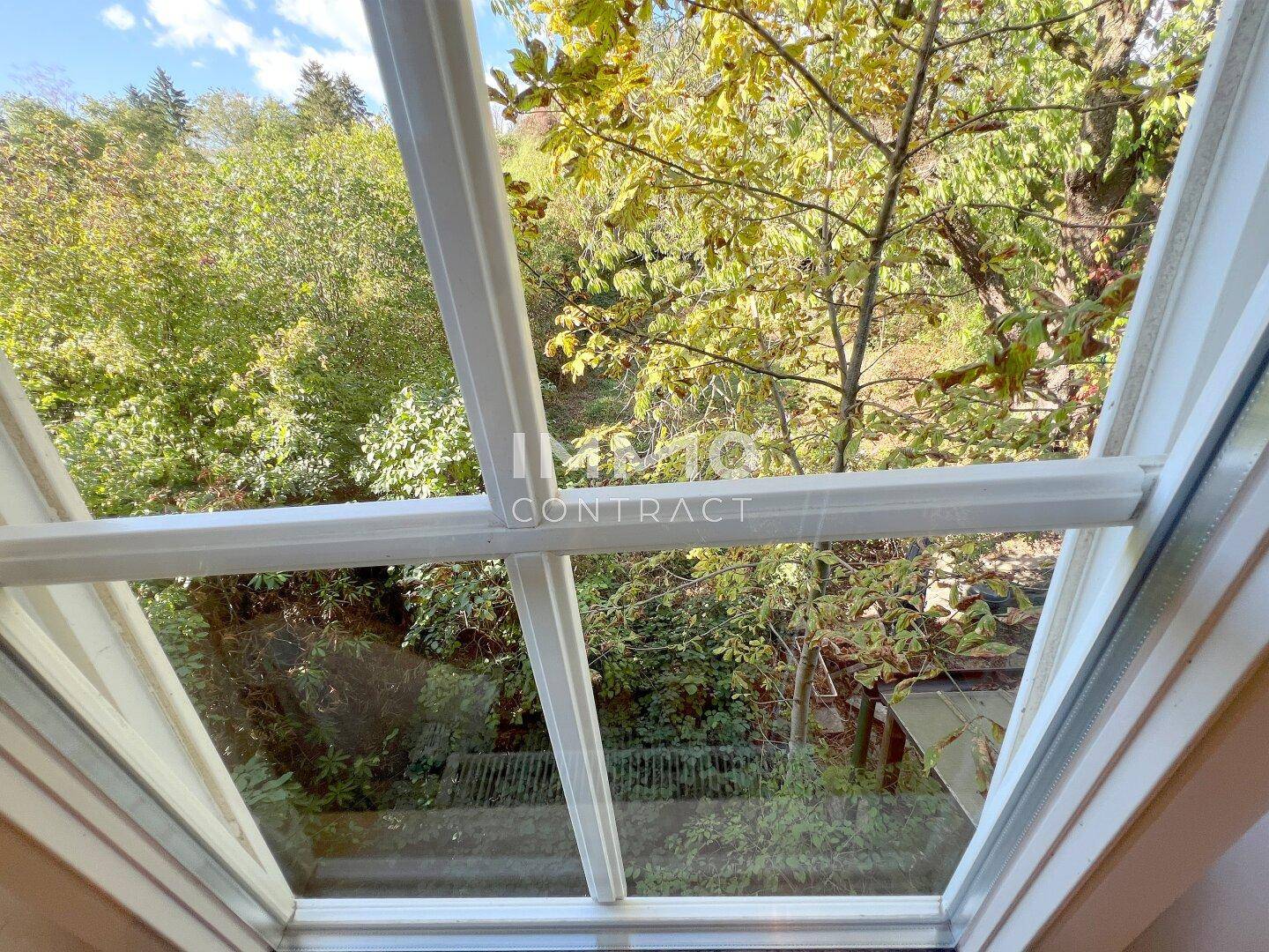 Blick aus einem Dachfenster auf üppiges Grün und den blauen Himmel, der viel Licht hereinlässt.
