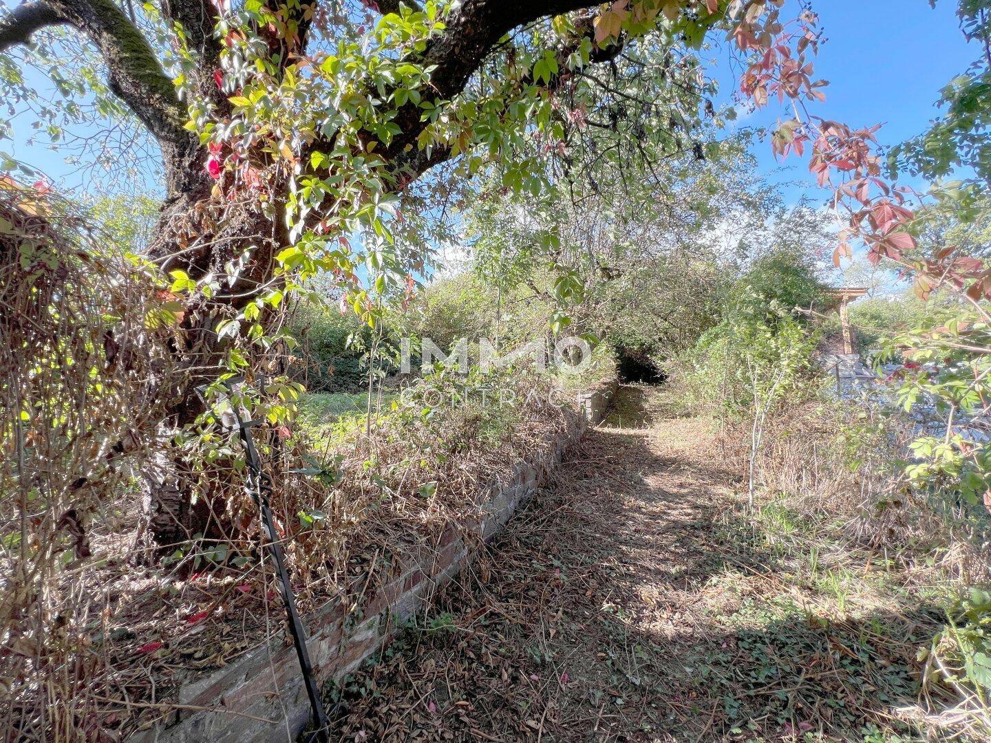 Verwunschener Gartenweg mit Steinmauer und alten Bäumen, umgeben von dichter Vegetation.