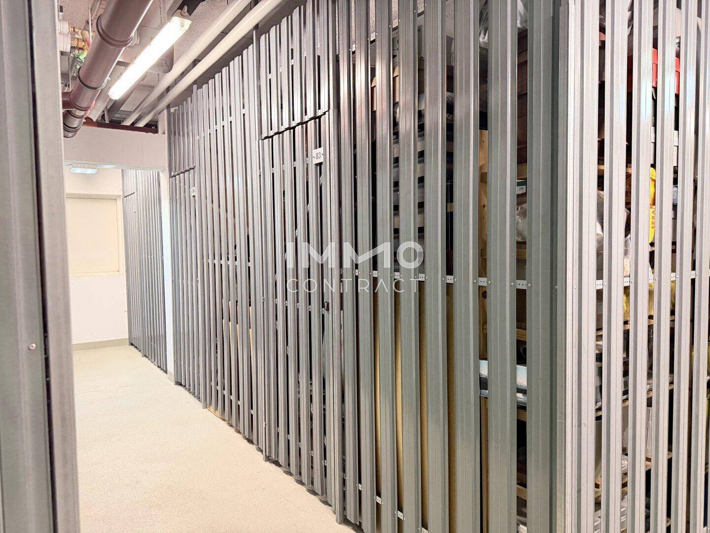 Kellerabteil mit Metallabtrennungen, bietet sicheren Stauraum für persönliche Gegenstände.