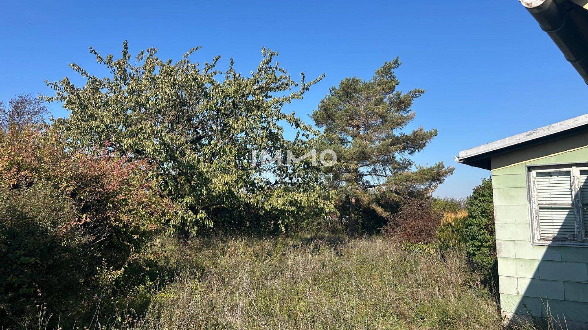 Verwildertes Grundstück mit Bäumen und einem Teil eines älteren Gebäudes am Rand.
