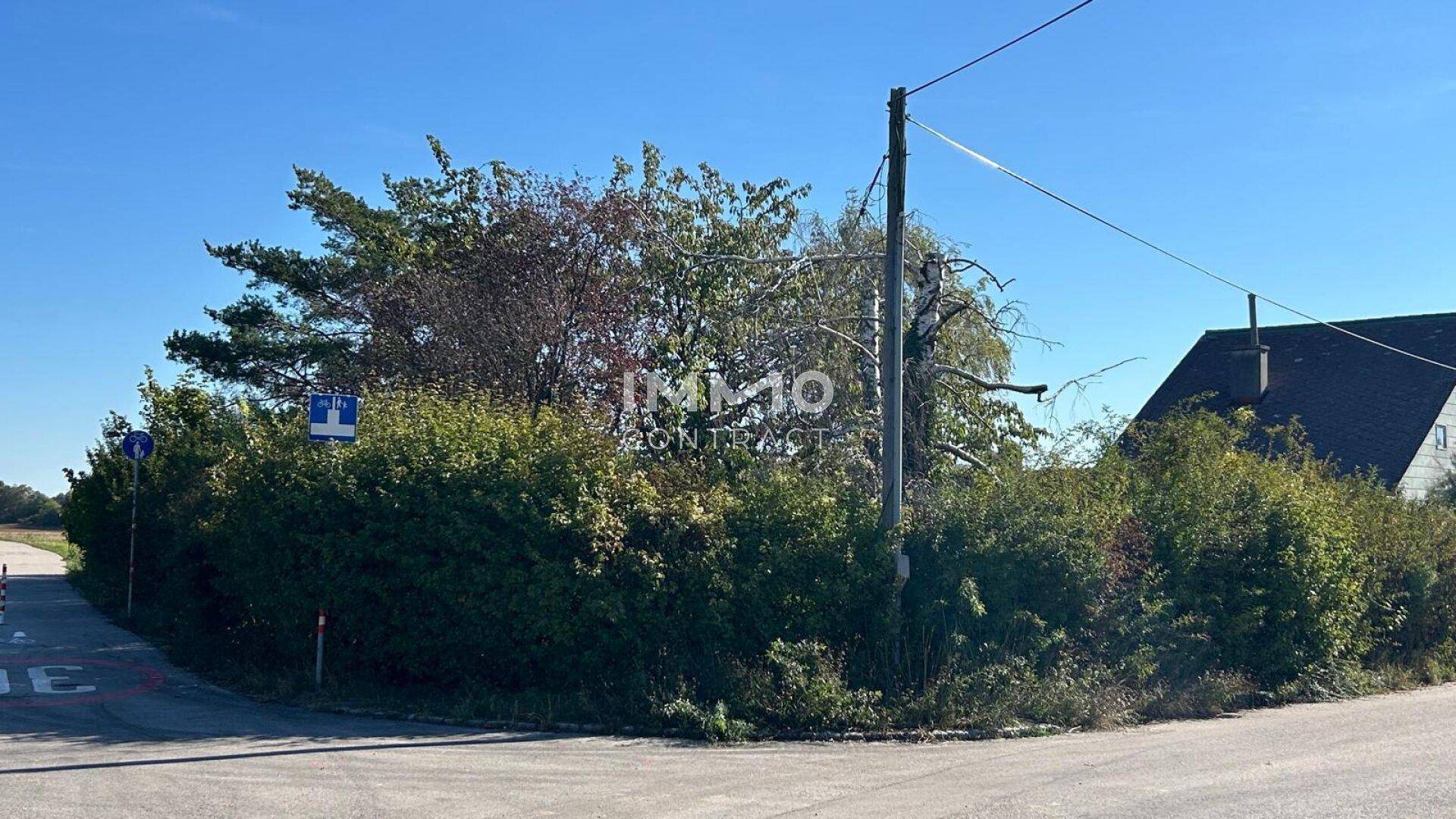Straßenecke mit dichter Hecke, Bäumen und einem Strommast unter klarem blauem Himmel.
