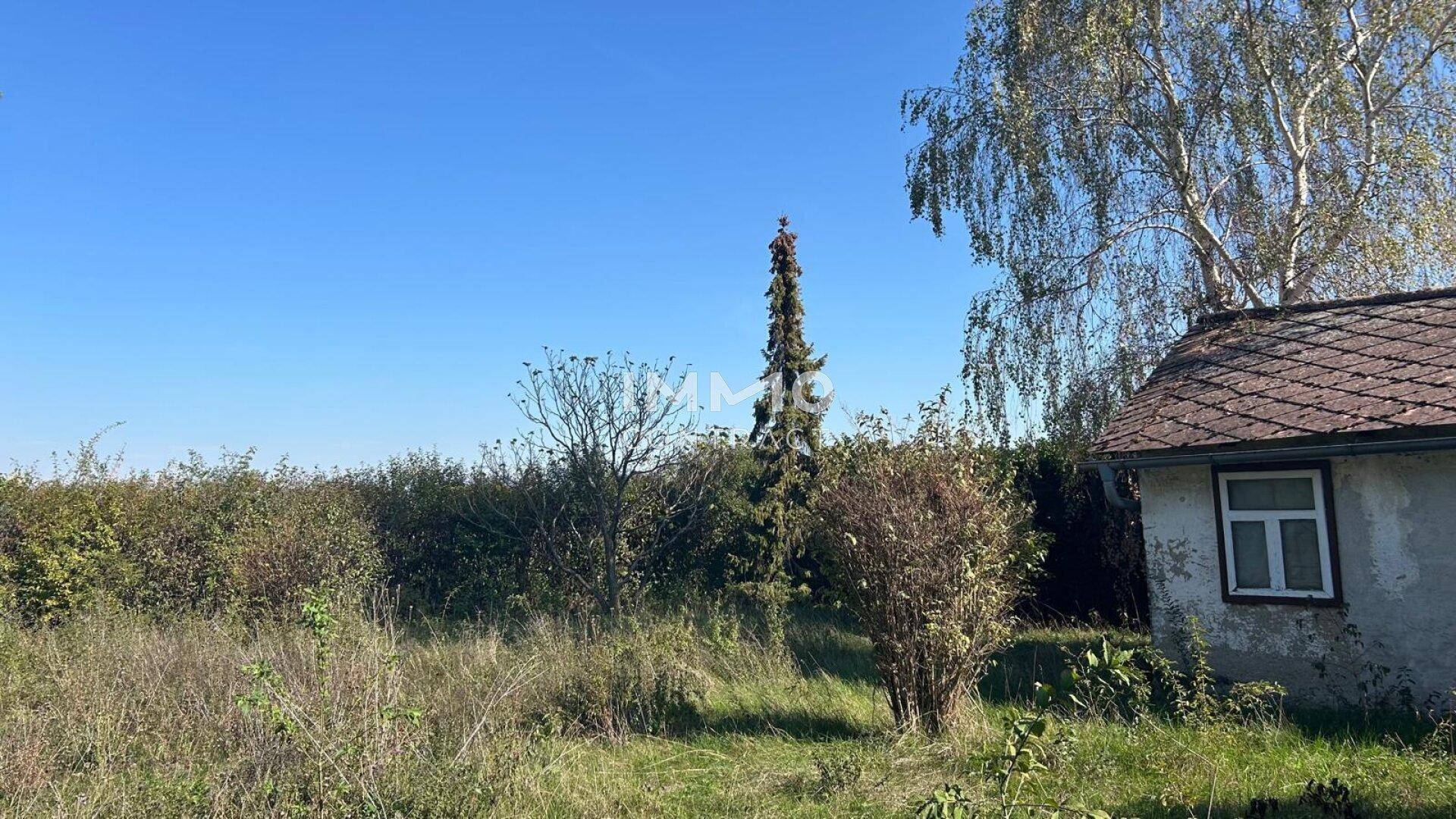 Naturbelassenes Grundstück mit Bäumen und einem kleinen, älteren Haus im Hintergrund unter blauem Himmel.