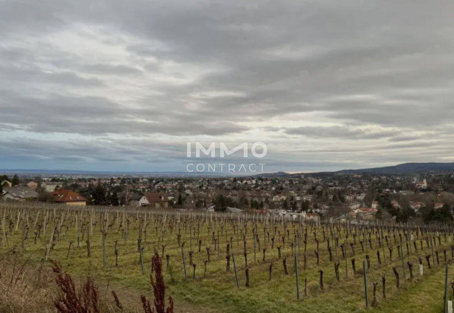 Weitläufiger Blick über Weinberge und eine Siedlung unter einem bewölkten Himmel.