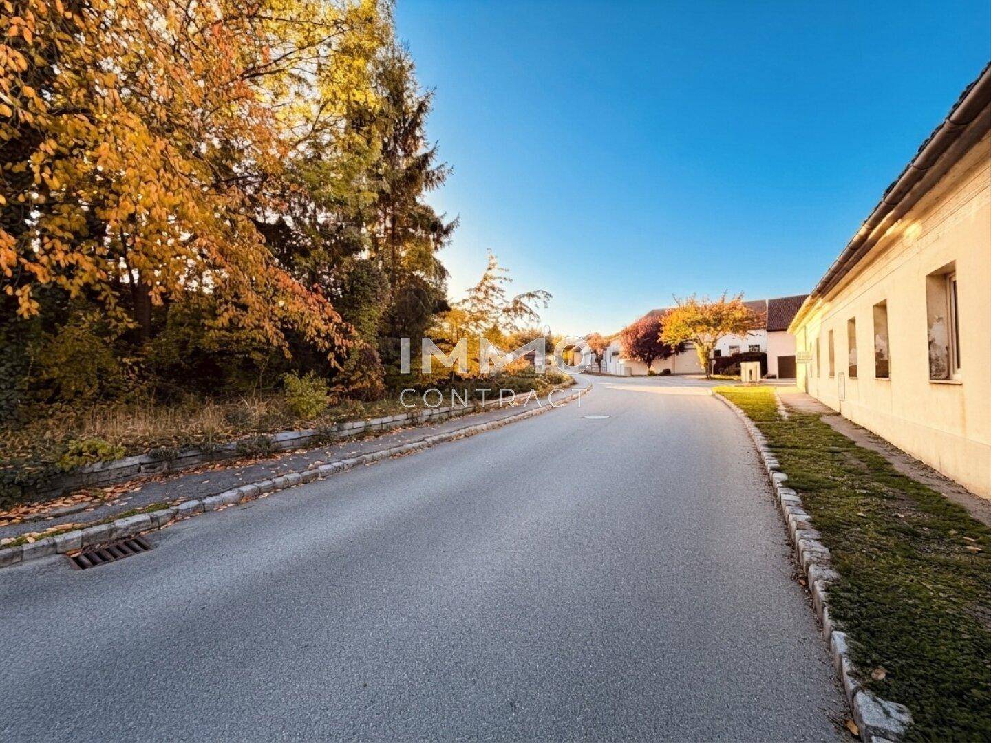 Ruhige Wohnstraße mit herbstlichen Bäumen und traditionellen Häusern in ländlicher Umgebung bei Sonnenlicht.