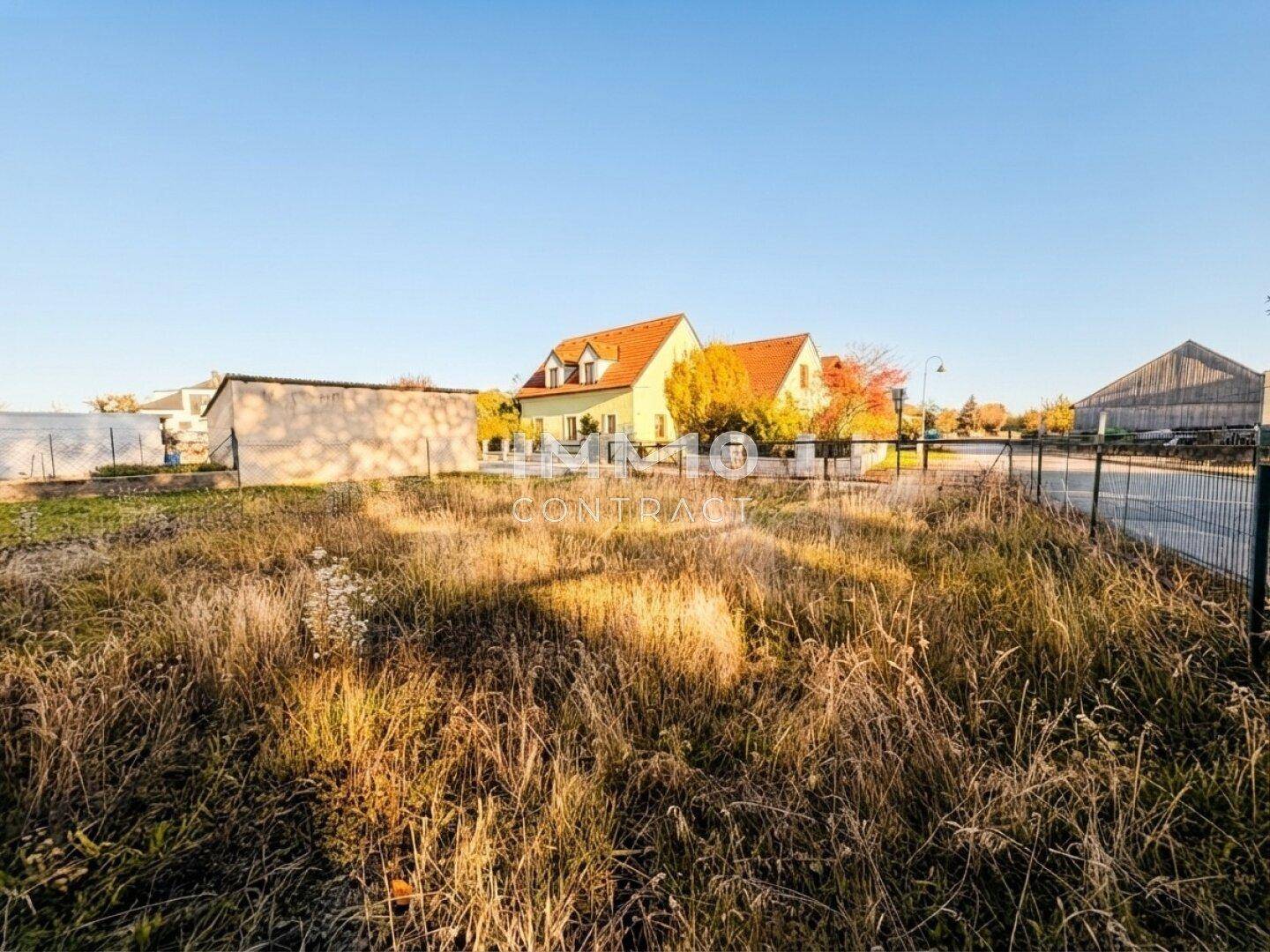 Sonniges Baugrundstück mit hohem Gras und Blick auf ein Wohnhaus sowie umliegende Natur.