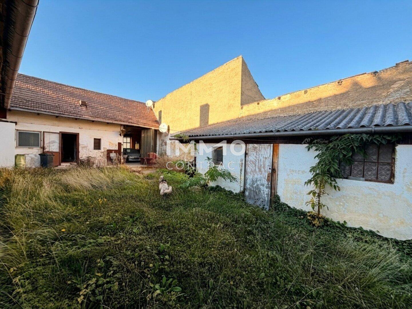 Rückseite alter Gebäude mit verwildertem Gartenbereich und üppigem Grün unter blauem Himmel.